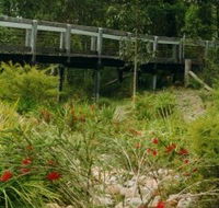 Eurobodalla Botanic Gardens - Accommodation Georgetown