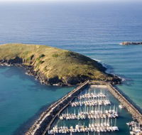 Muttonbird Island Nature Reserve - Accommodation Georgetown