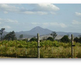 Ironbark Ridge Vineyard - Accommodation Georgetown 0