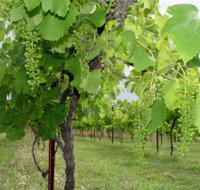 Holland Wines - Accommodation Georgetown