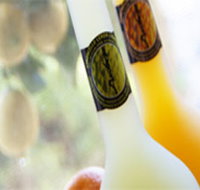 Ambra Limoncello - Accommodation Georgetown