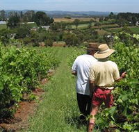 Sir Paz Estate - Accommodation Georgetown