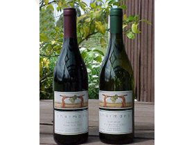 North Esk River Vineyard - Accommodation Georgetown 0