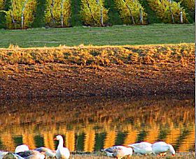 Pipers Brook Vineyard - Accommodation Georgetown 0