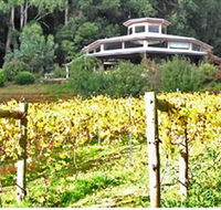 Peveril Vineyard/Beechy Berries - Accommodation Georgetown