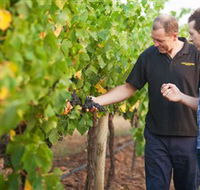 Fratin Brothers Vineyard - Accommodation Georgetown