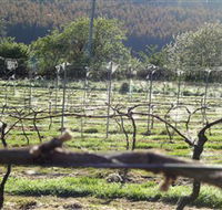 Three Willows Vineyard - Accommodation Georgetown