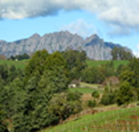 Lake Barrington Vineyard - Accommodation Georgetown