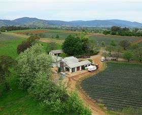 Lucyvale VIC Accommodation Georgetown
