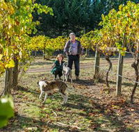 Little River Wines of Taggerty - Accommodation Georgetown