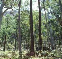 Cathedral Range State Park - Accommodation Georgetown