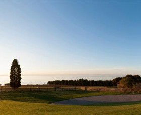 Jack Rabbit Vineyard - Accommodation Georgetown 3
