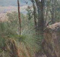 Mount Lawson State Park - Accommodation Georgetown