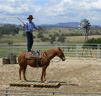 Boggy Creek Shows - Accommodation Georgetown
