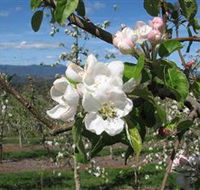 Mouat's Farm - Accommodation Georgetown