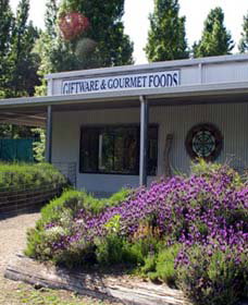 Crisp Galleries - Accommodation Georgetown 0