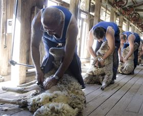 The Woolshed At Jondaryan - Accommodation Georgetown 1