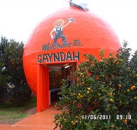 Gayndahs Big Orange - Accommodation Georgetown