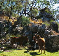 Coomba Falls - Accommodation Georgetown