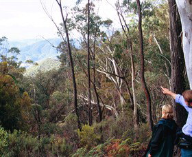 Hume And Hovell Walking Track - Accommodation Georgetown 5