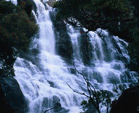 Hume And Hovell Walking Track - Accommodation Georgetown 4