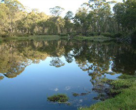 Hume And Hovell Walking Track - Accommodation Georgetown 6