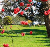 The Yass Golf Club - Accommodation Georgetown