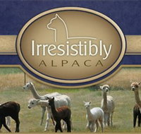 Marchmont Park Alpacas - Accommodation Georgetown