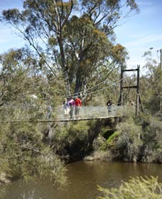 Avon Park - Accommodation Georgetown 0