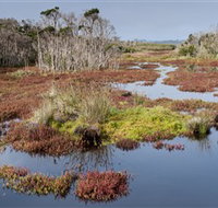 French Island National Park - Accommodation Georgetown