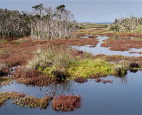 French Island National Park - Accommodation Georgetown 0