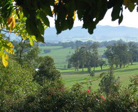 Brandy Creek Wines & View Cafe - Accommodation Georgetown 5