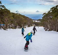 Mt Baw Baw Alpine Resort - Accommodation Georgetown