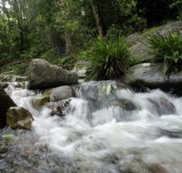 Washpool National Park - Accommodation Georgetown