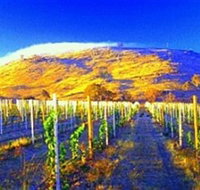 Surveyors Hill Winery - Accommodation Georgetown