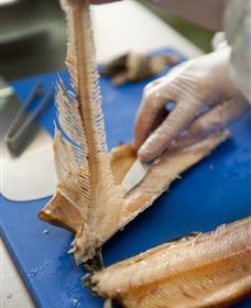 Arc-en-Ciel Trout Farm - Accommodation Georgetown 2