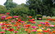 Alma Park - thumb 0