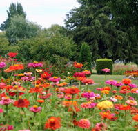 Alma Park - Accommodation Georgetown