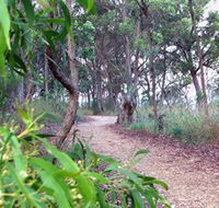 Mount Mutton Walking Trail - Accommodation Georgetown