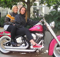 Wild Ride Harley and Motorcycle Tours - Accommodation Georgetown