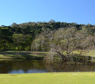 Antill Park Country Golf Club - Accommodation Georgetown 1