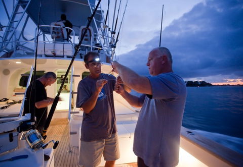 Amokura Charters - Accommodation Georgetown 1