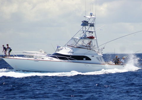 Amokura Charters - Accommodation Georgetown 2