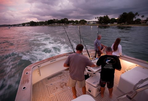 Amokura Charters - Accommodation Georgetown 3