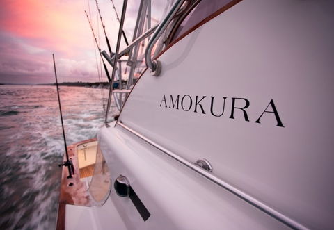 Amokura Charters - Accommodation Georgetown 4