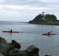 Newcastle Kayak Tours - Accommodation Georgetown