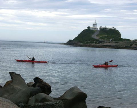 Newcastle Kayak Tours - Accommodation Georgetown 0