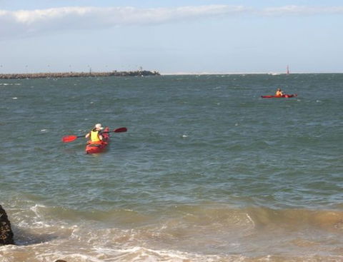 Newcastle Kayak Tours - Accommodation Georgetown 1