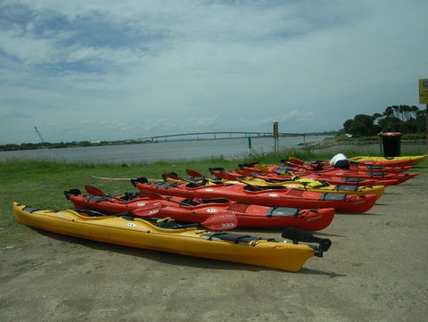 Newcastle Kayak Tours - Accommodation Georgetown 2