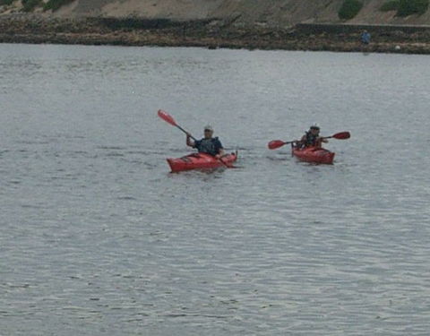 Newcastle Kayak Tours - Accommodation Georgetown 4